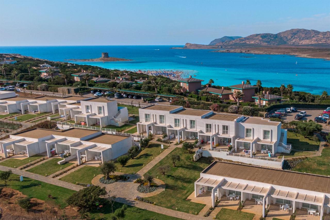 Capo Falcone Charming Apartments Stintino Εξωτερικό φωτογραφία
